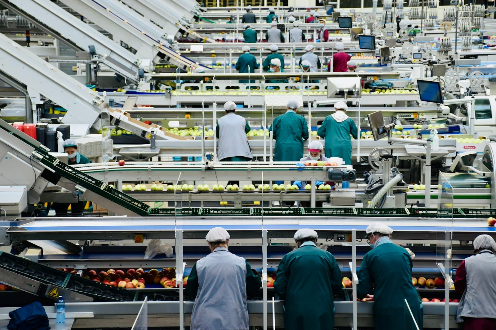 Workers along a food packing line in a large processing plant