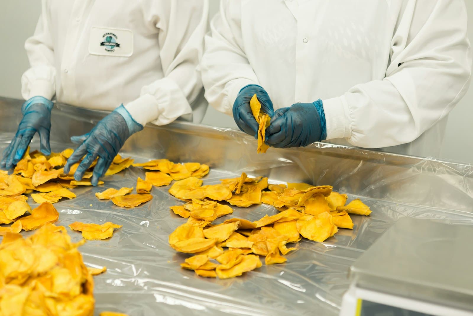 Workers in gloves sorting processed food on a stainless steel table